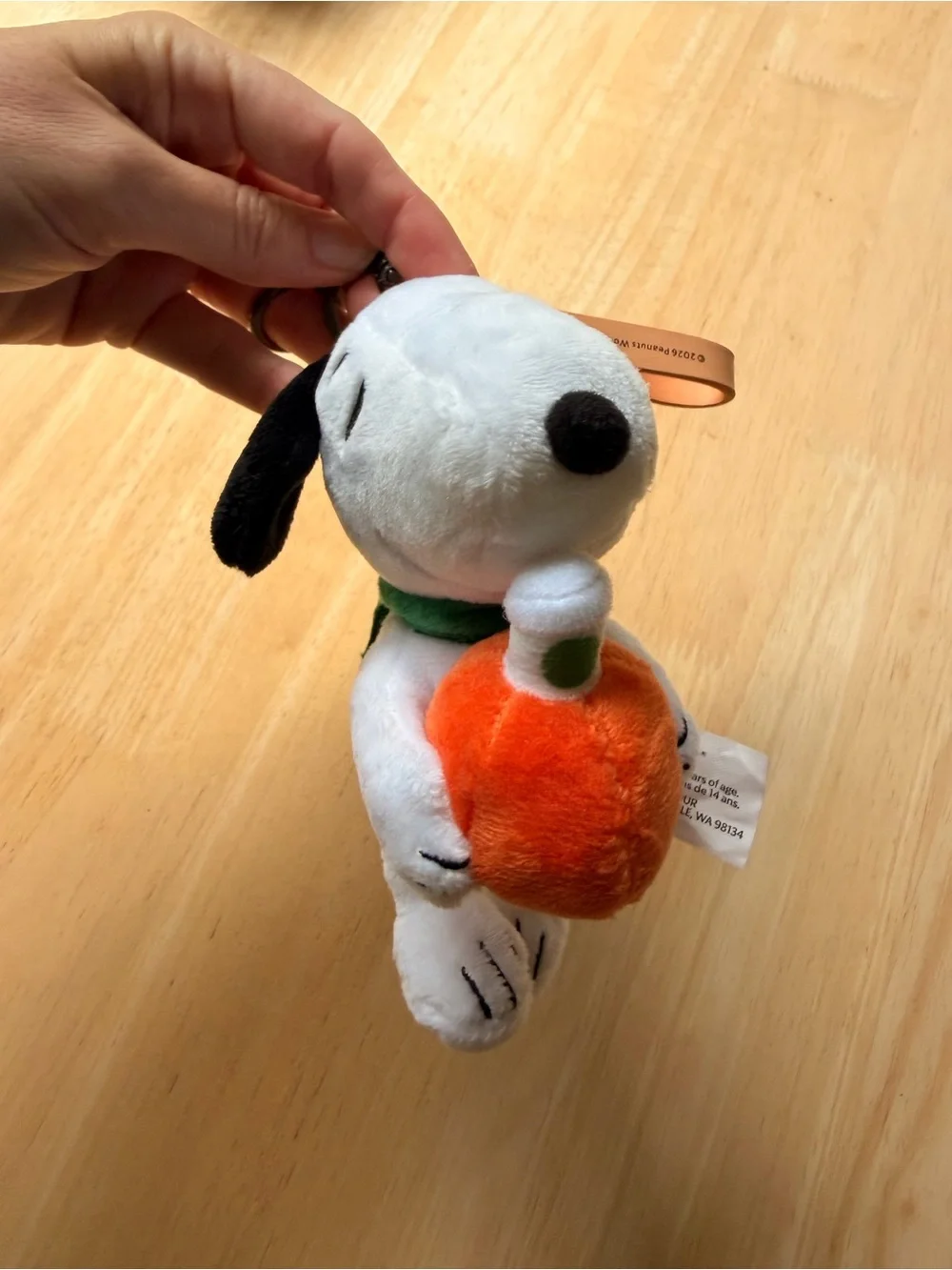 Starbucks x Peanuts Snoopy Plush Bag Charm Great Pumpkin